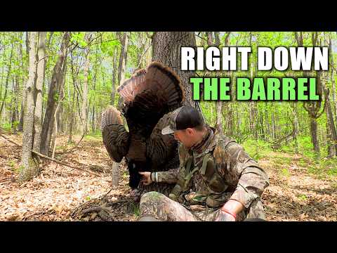 Last Minute Gobbler! - Strike Up a Tom Walking Out