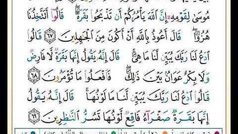 الصفحة رقم ( 10 ) من ختمة مصحف التجويد برواية حفص بصوت القارئ محمد حبش