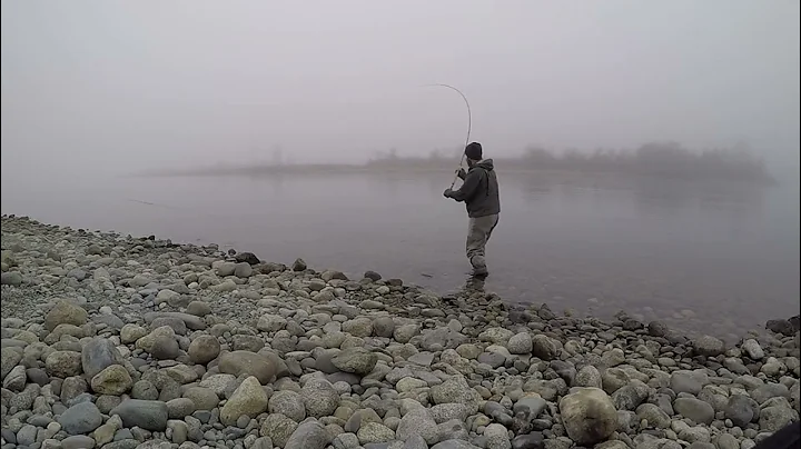 Single Spey