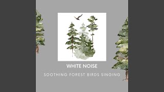 White Noise, Serenity Nature (Loopable)