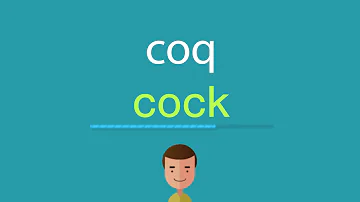 Comment traduire coq en anglais ?