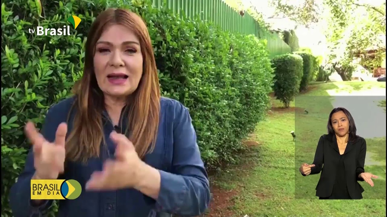Brasil já tem 600 serviços digitais