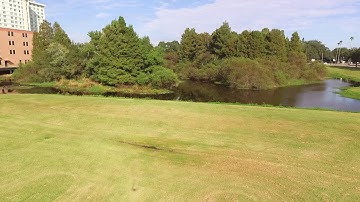 F.D.P LLC INTRO VIDEO