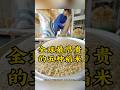 稻米 Mp3 Mp4 Free download