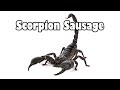 Scorpion sausage