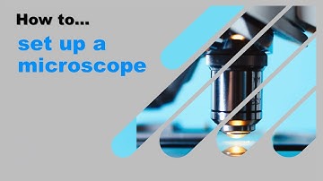 How to set up a microscope