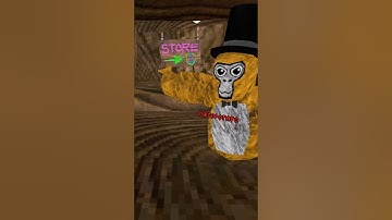 Did I Make The Perfect Loop? #sirpotatovr #gorillatag #loop  #gtag #gorillatagfun #vr #subscribe