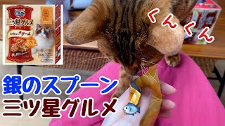 【検証】ベンガル猫に銀のスプーン「三ツ星グルメ」のドライフードをあげてみた！【着色料不使用】