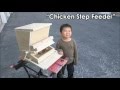 Chicken Step Feeder - 1st Try, Maybe a 2nd to follow ...