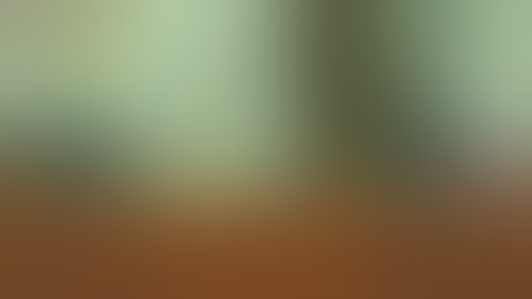 Adventure game ninja rian level1 and level2 complete