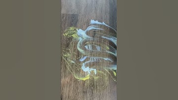 Dreametech W10 Robot Vacuum Cleaner Mop Review