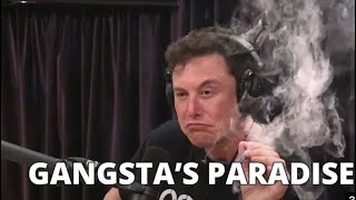 How tall is Elon Musk When standing on his money($287,000,000,000,)#shorts