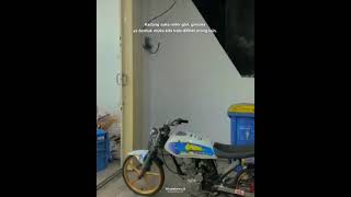 Download Lagu story wa herex MP3 Download Lagu story wa herex MP3