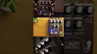 Asheville Music Tools ACV-1 Time Warping Chorus & Vibrato #guitarpedals #guitar #asheville #chorus