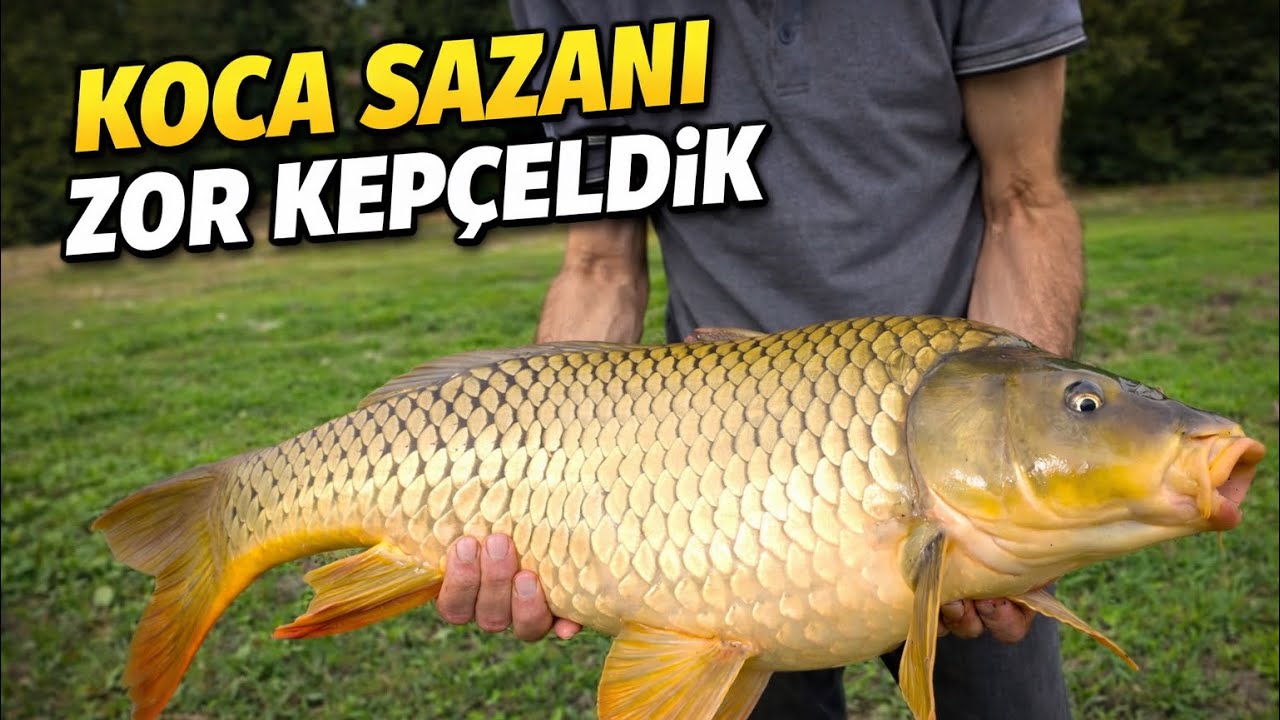 SAZAN BALIĞI KEPÇELEME ANI| DEV BALIK| HEYECAN DOLU! 