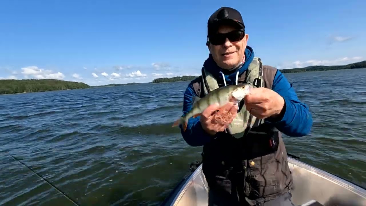 Ned jigikalastus. Asiaa jigeistä, vavoista ja kalastuksesta.