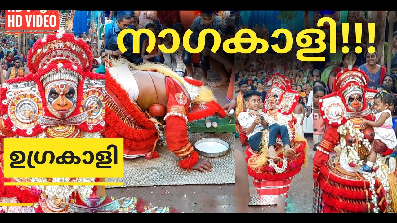 പാലും മുട്ടയും കുടിക്കുന്ന ഉഗ്രരൂപിണി നാഗകാളി തെയ്യം #Nagakali #Theyyam#Kannur Moothanakkavu