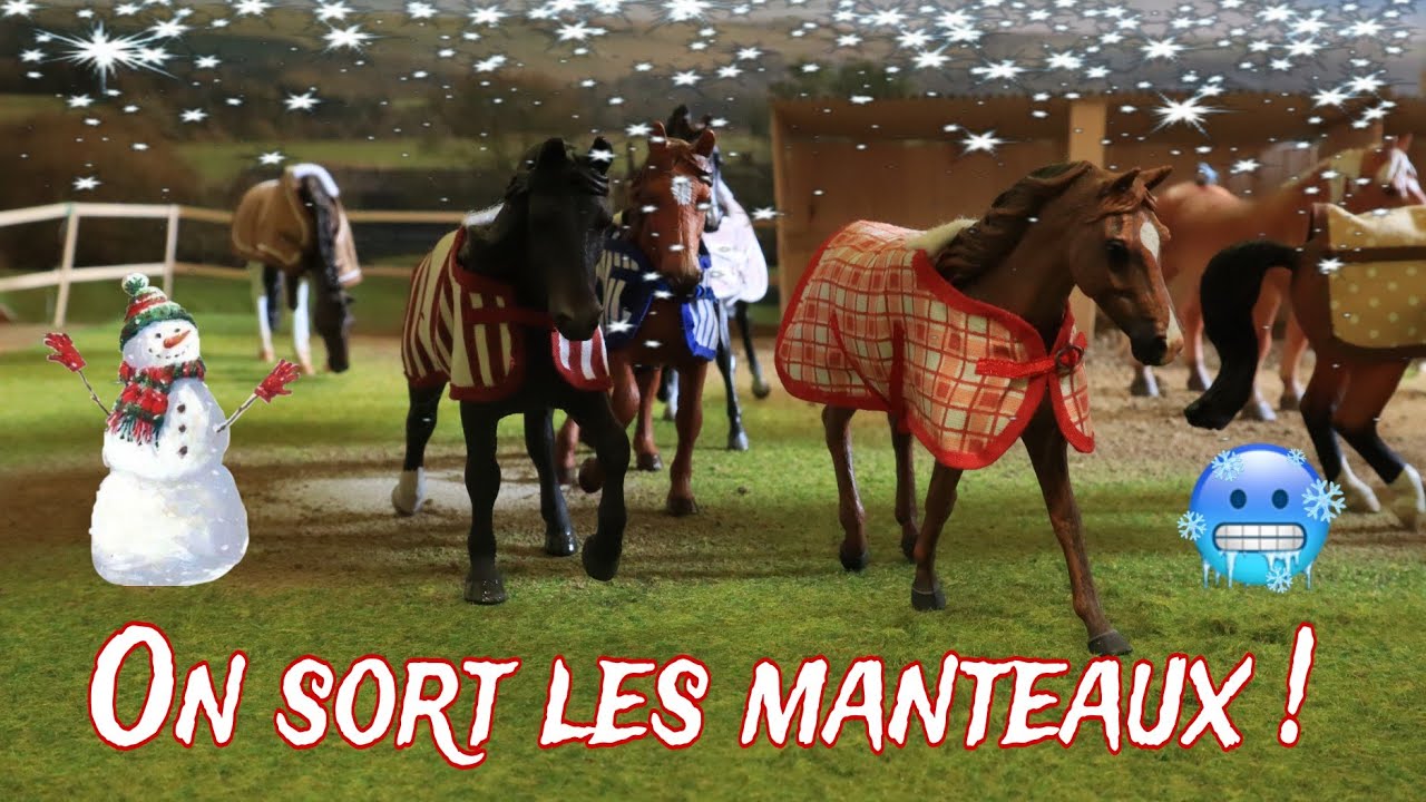 On prépare ensemble mon Haras pour l'Hiver : Des nouvelles couvertures pour les chevaux !