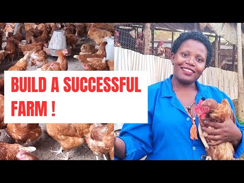 How to build a successful poultry farm that earns millions of money ...