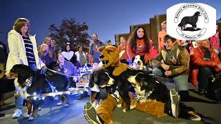 Nittany Lion 2022 Nationals Video News