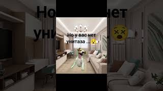 #мемасики #ютуб #cat 😜👌🤣