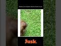 Mwitikio Wa Orangutan Alipoona Miwani Ya Jua Mwitikio Wa Orangutan Alipoona Miwani Ya Jua