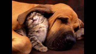 Ojalá, voces sin fronteras 1987