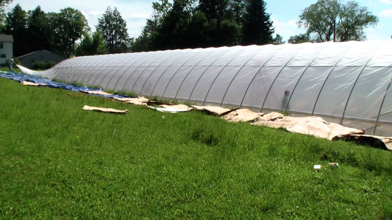 Greenhouse 6 Mil Plastic Greenhouse 6 Mil Plastic