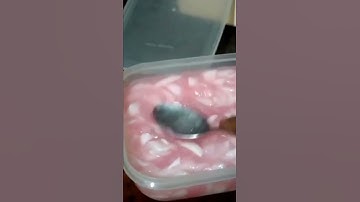 es kelapa pake agar2 kelapa