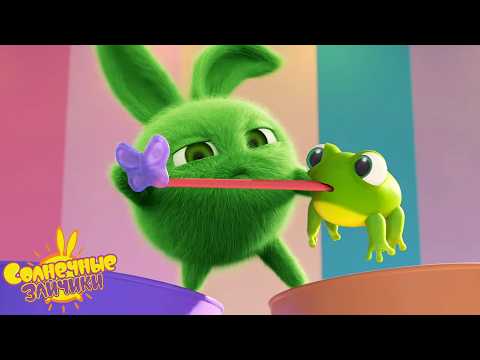 Мими хочет все конфеты | Солнечные зайчики | Мультики для детей