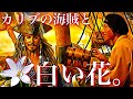 【閲覧注意】カリブの海賊と白い花。