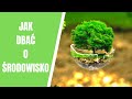 Jak dba o rodowisko 10 sposobw jak chroni przyrod