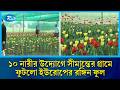১০ নারীর উদ্যোগে সীমান্তের মাটিতে ২০ হাজার টিউলিপ | Tulip | Rtv News