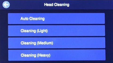 How to Perform an Auto Cleaning on the SureColor F2270 I 2 Easy Steps