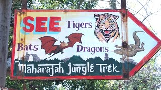 🐅 Lost Disney Jungle! Maharajah Trek EXACTLY as it Looked in 2007 Maharajah Jungle Trek 🐅