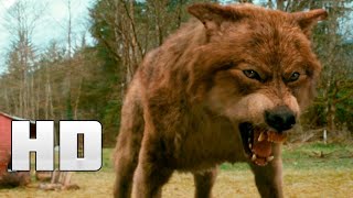 Werewolf Action Movie Full Length English Full Action Movies Hd