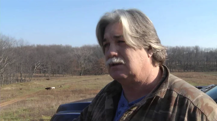 Michigan DNR: Wild hogs a growing concern