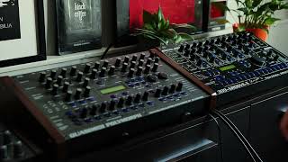 Back to the old school  |  Quasimidi Polymorph  309GrooveX Klaus Schulze Edition