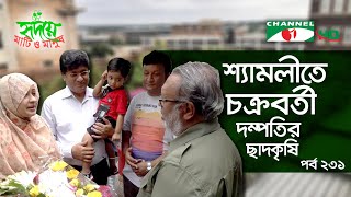 শ্যামলীর আদাবরে চক্রবর্তী দম্পতির ছাদকৃষি | পর্ব ২৩১ | Shykh Seraj | Channel i |