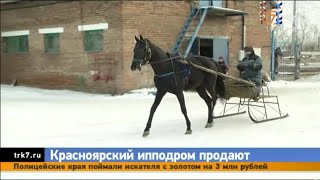 Красноярский ипподром выставили на торги