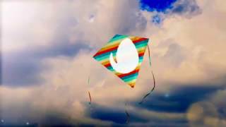 Kite Logo-After Effects Template Videohive