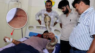 जहरीला नाग पकड़ते वक़्त हो गया हादसा! जरा सी लापरवाही और Cobra Snake Bite हो गया।आप ऐसी गलती न करें!