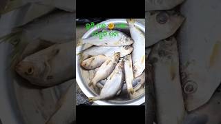 Village - Style Saltyfish Tamarind Curry 🐠🍛#tamarindcurry #saltyfish#odiafood #youtubeshorts