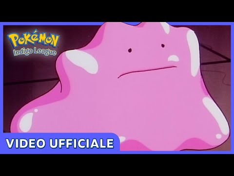 Duplica e Ditto! | Indigo League | Video ufficiale