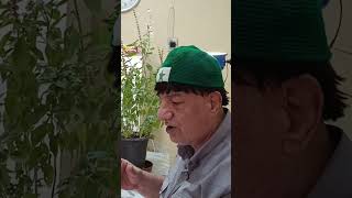 ##esperanto ##اسپرانتو 💚💚💚