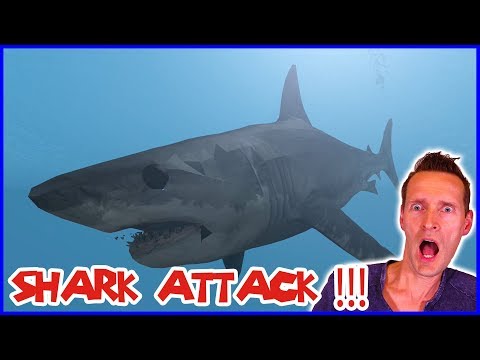 Shark Attack Caught On Tape Boats Wrecked Few Survived Youtube - roblox videos karina and ronald shark