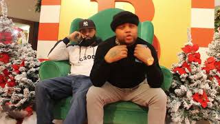 quambrown birds fly high YouTube