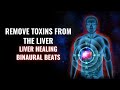 Liver Healing Binaural Beats | Remove Toxins from The Liver | Cleanse Liver Naturally | 741 Hz Detox