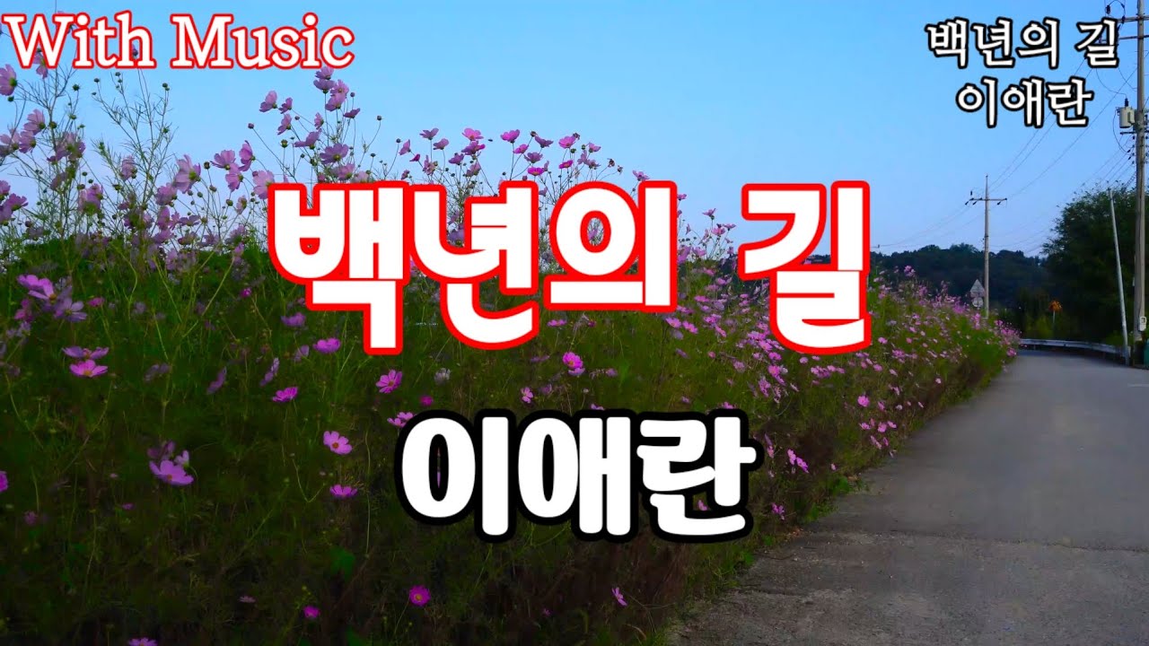 #이애란#백년의길#3번연속듣기#노래방가사 #이애란#백년의길#3번연속듣기#노래방가사