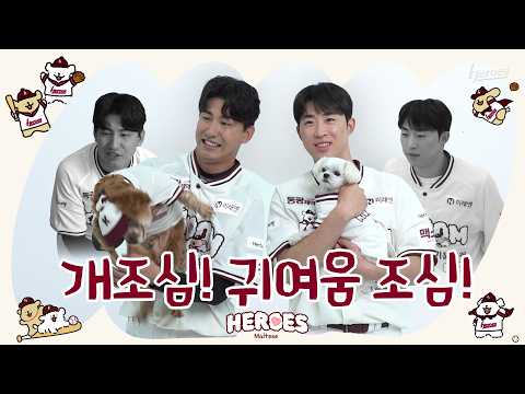 Q. Are you tired? A. Woof!! Bark!! Grrr.. Arf.. Woof! I KIWOOM HEROES X Maltese & Retriever